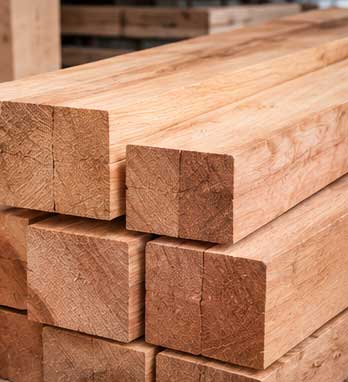 Kayu Racuk Sumatra